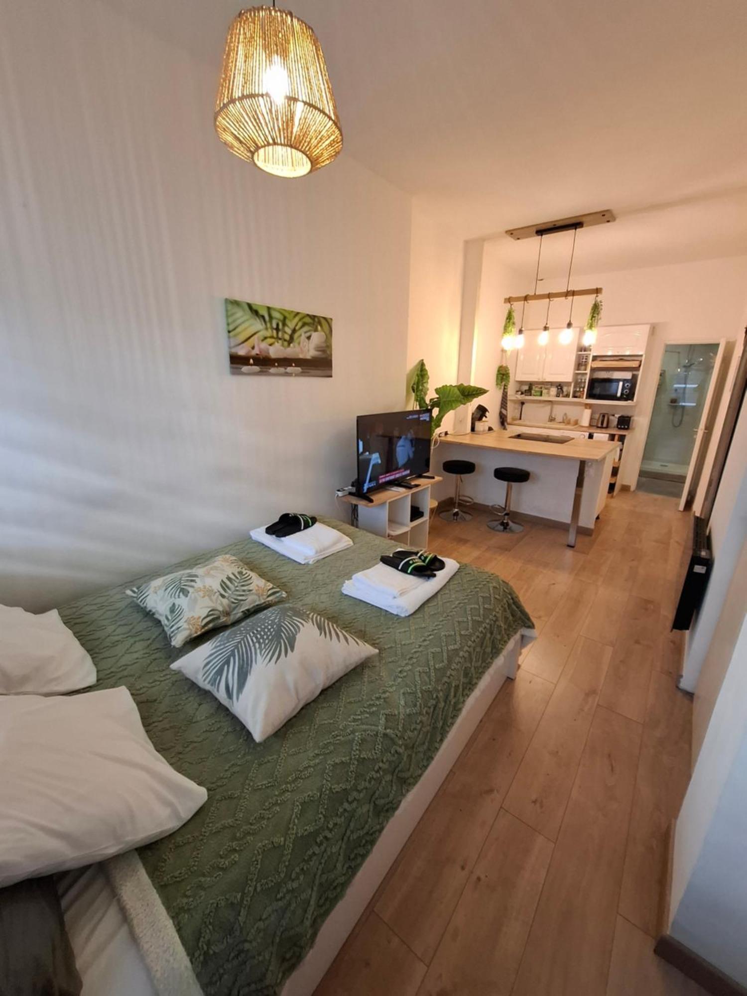 Studio La Casa De Planel Gare Saint Roch Montpellier Luaran gambar